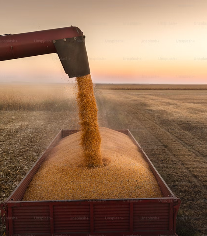 Contacto Grupo Red Rural